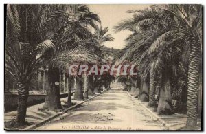 Menton - Allee des Palmiers - Old Postcard