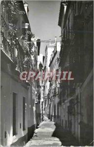 Postcard Modern Sevilla Calle de la Pimienta Barrio de Santa Cruz Street in L...