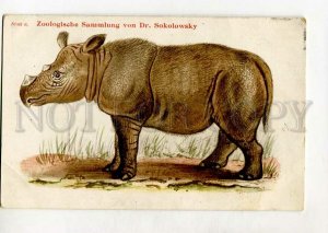 3143703 Hunt RHINOCEROS Sumatrensis SUMATRA-NASHORN Indonesia