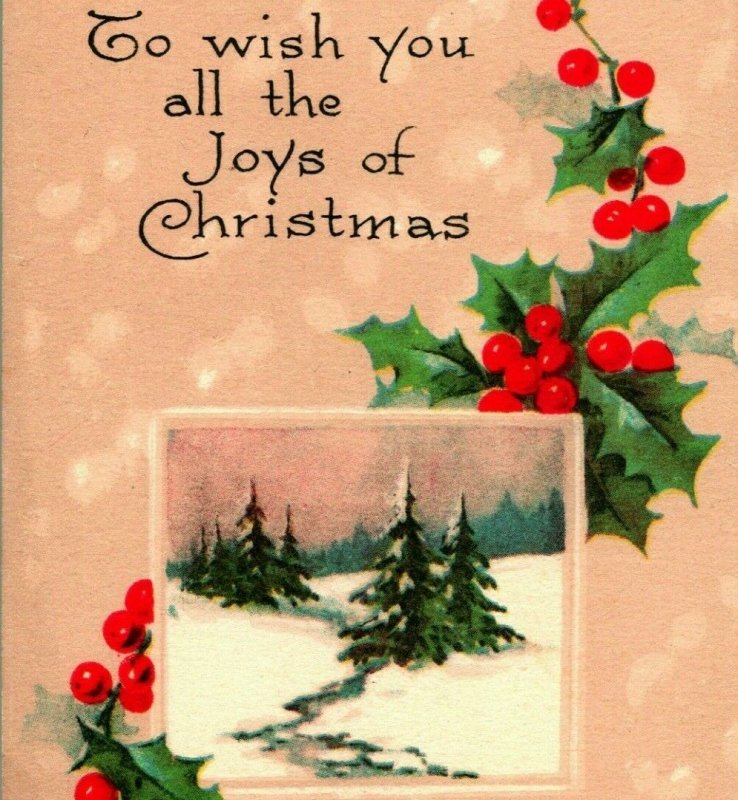 Joys of Christmas Holly Pink of Perfection Unused UNP 1900s Vtg Postcard