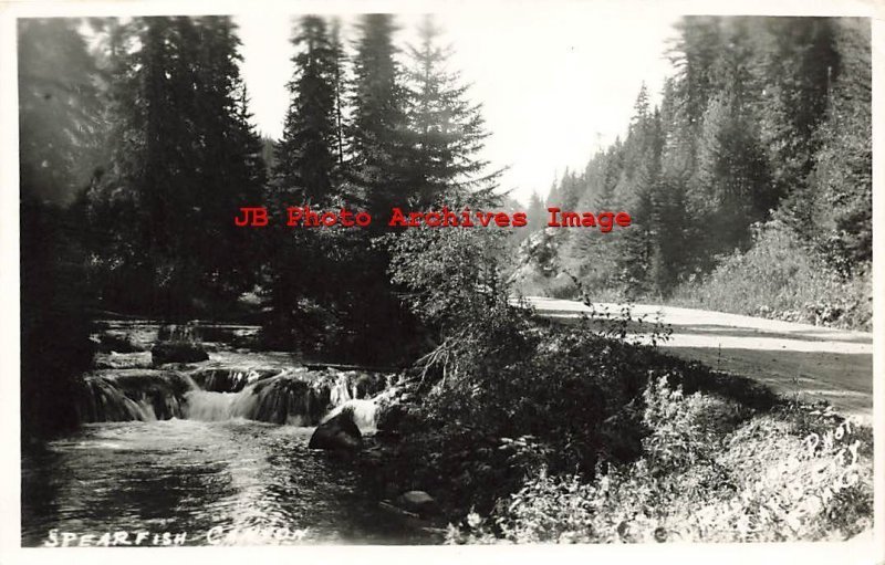 SD, Spearfish, South Dakota, RPPC, Scenic Highway, Rushmore Photo