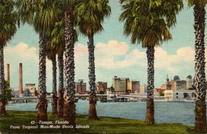 Florida Tampa View From Tropical Man Made Davis Island 1948 Curteich