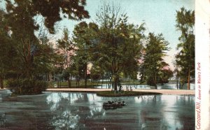 Vintage Postcard 1906 Trees Scene in White's Park Concord New Hampshire N. H.