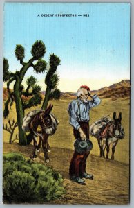 Postcard c1940s A Desert Prospector Old Man With His Mules Cactus Scenic Linen