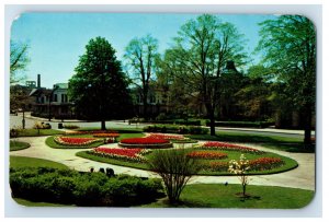 Vintage Tulips In Plymouth Park Rochester N.Y. Postcard P203E