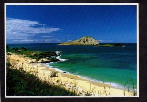 Hi Makapuu Beach Oahu HAWAII Postcard