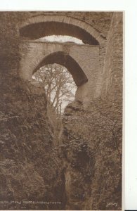 Wales Postcard - Devil's Bridge - Aberystwyth - Cardiganshire - Ref TZ601