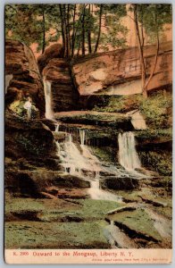 Vtg Liberty New York NY Mongaup Falls Waterfall 1907 View Old Postcard