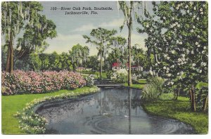 US River Oak Park, Jacksonville, Florida. old card with postage, mailed 1958.