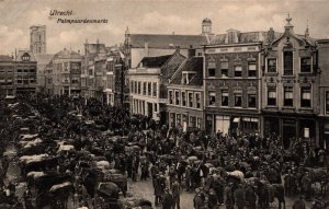 Netherlands Utrecht Palmpaardenmarkt Vintage Postcard 03.94