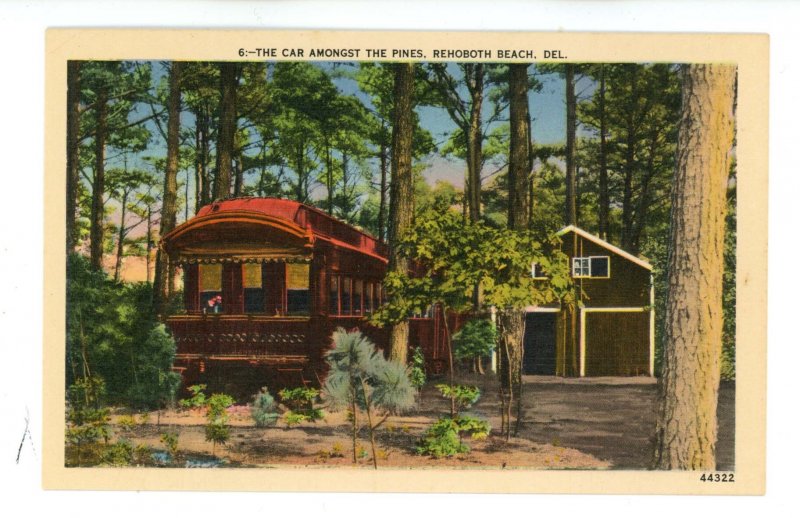 DE - Rehoboth Beach. The Car Amongst the Pines