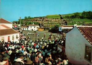 Azores Ilha Terceira Roped Bullfighting At Sao Sebastian