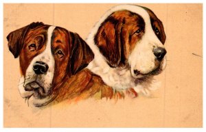 Dog ,Saint Bernard