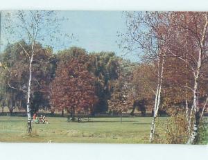 Pre-1980 PARK SCENE Canton Ohio OH hk6934-13