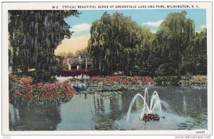 Typical Beautiful scene at Greenfield Lake and Park,  Wilmington,  North Caro...