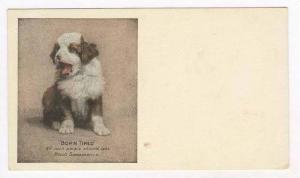 Born Tired  Hood&acute s Sarsaparilla advertising postcard, 