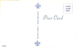 Scouts of the World Denmark Postcard