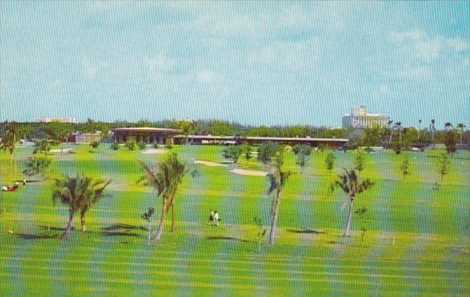 Florida Hollywood Diplomat Resort & Country Club Showing Golf Course