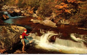 Fishing Trout Fishing Greetings From Houlton Maine