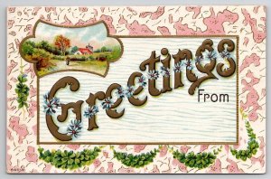 Greetings From Beautiful Scenic Embossed Postcard M23