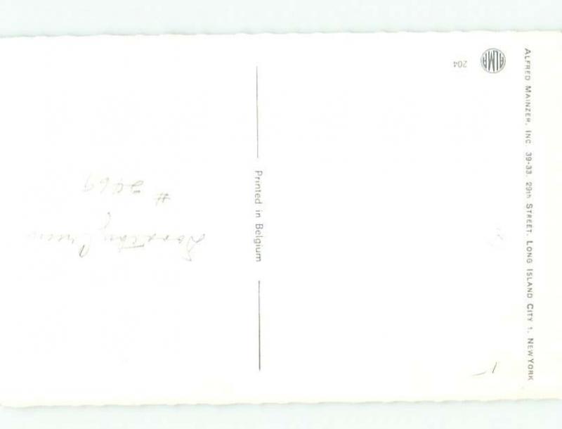 Pre-1980 Mainzer signed BEAUTIFUL BLACK AND YELLOW BIRDS AC5909