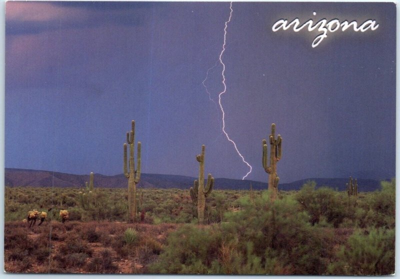 Postcard - A distant flash cracks a stormy Arizona sky - Arizona