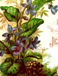 1880s  Dr. Nettleton Religious Victorian Card Lovely Violets Fab! #5P