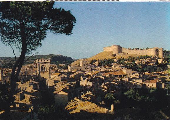 France Avignon Panorama de Villeneuve-les-Avignon