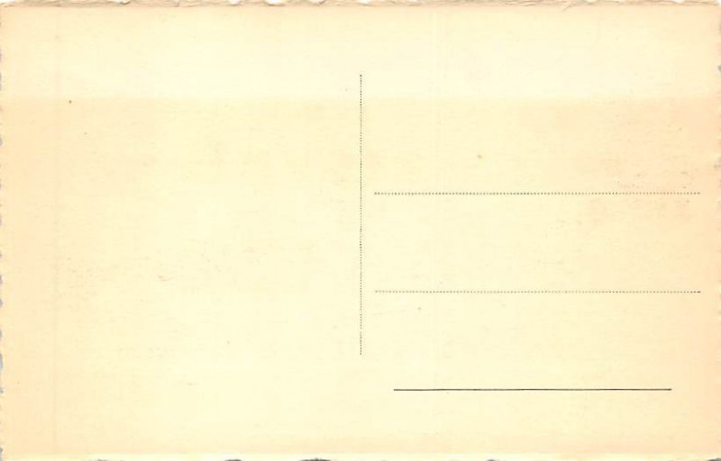 SS Steenstraete Compagnie Maritime Belge Ship Unused 