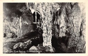 First Spring real photo - Carlsbad Cavern, New Mexico NM  