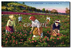 Old Postcard picking roses Cote d & # 39Azur