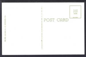 Sponges From Tarpon Springs,FL