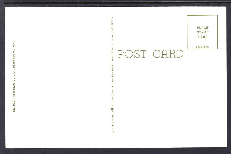 Sponges From Tarpon Springs,FL