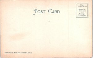 1900s New York City Seen from Brooklyn Heights NY Undivided Back Postcard