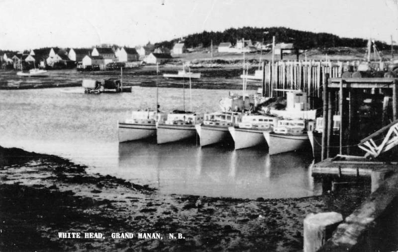 Grand Manan New Brunswick Canada White Head Real Photo Antique Postcard K80274