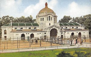 Elephants House, New York Zoological Park New York, USA