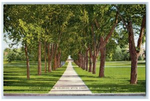 c1940 Famous Shady Lane Colorado State College Fort Collins Colorado CO Postcard