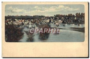 Old Postcard Cows Switzerland