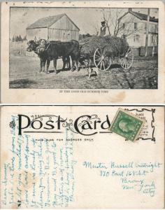 FARM SCENE BULL DRAWN WAGON ANTIQUE POSTCARD