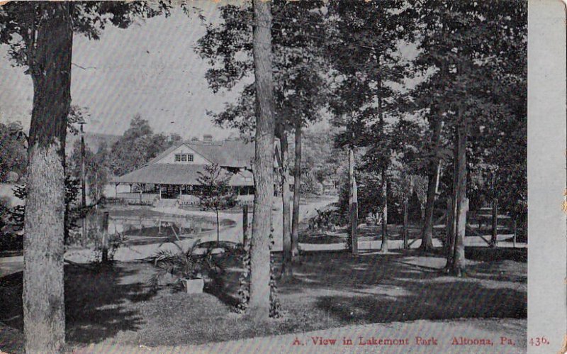 Postcard A View in Lakemont Park Altoona PA