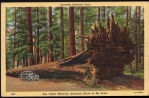 California The Fallen Monarch Mariposa Big Trees old car Yosemite National Park