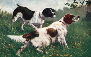 Vintage Postcard Setter And Pointer Dogs Gone Wild on the Grassy Field