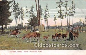 Seattle, Washington, USA Deer, Woodland Park Postcard Post Card Seattle, Wash...