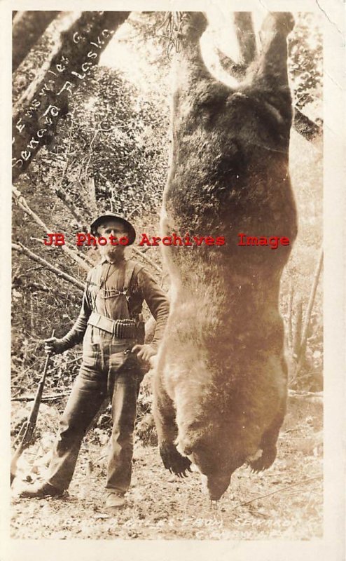 AK, Seward, Alaska, RPPC, Hunter with Brown Bear Hanging from Tree