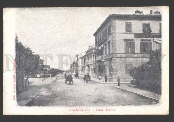 113971 Italy VIAREGGIO Viale Manin Street Vintage postcard