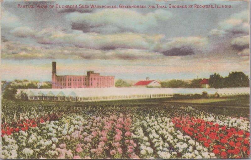 Postcard Partial View Buckbee's Seed Warehouses Rockford IL