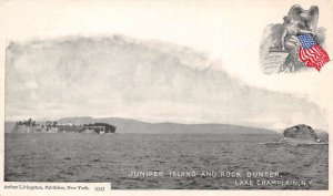 Lake Champlain New York Juniper Island and Rock Dunder Vintage Postcard AA68447