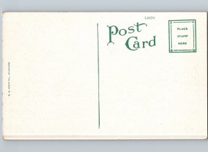 c1920 High School Douglas Arizona AZ Cochise County Postcard