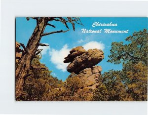 Postcard Duck On The Rock, Chiricahua National Monument, Arizona