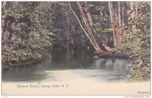 Shadow Brook, Otsego Lake, New York, 1900-1910s